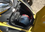 baccasque.jpg